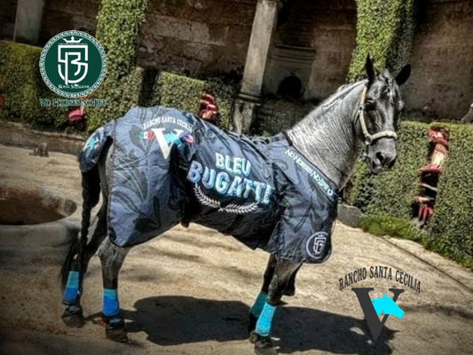 Custom Horse Blankets