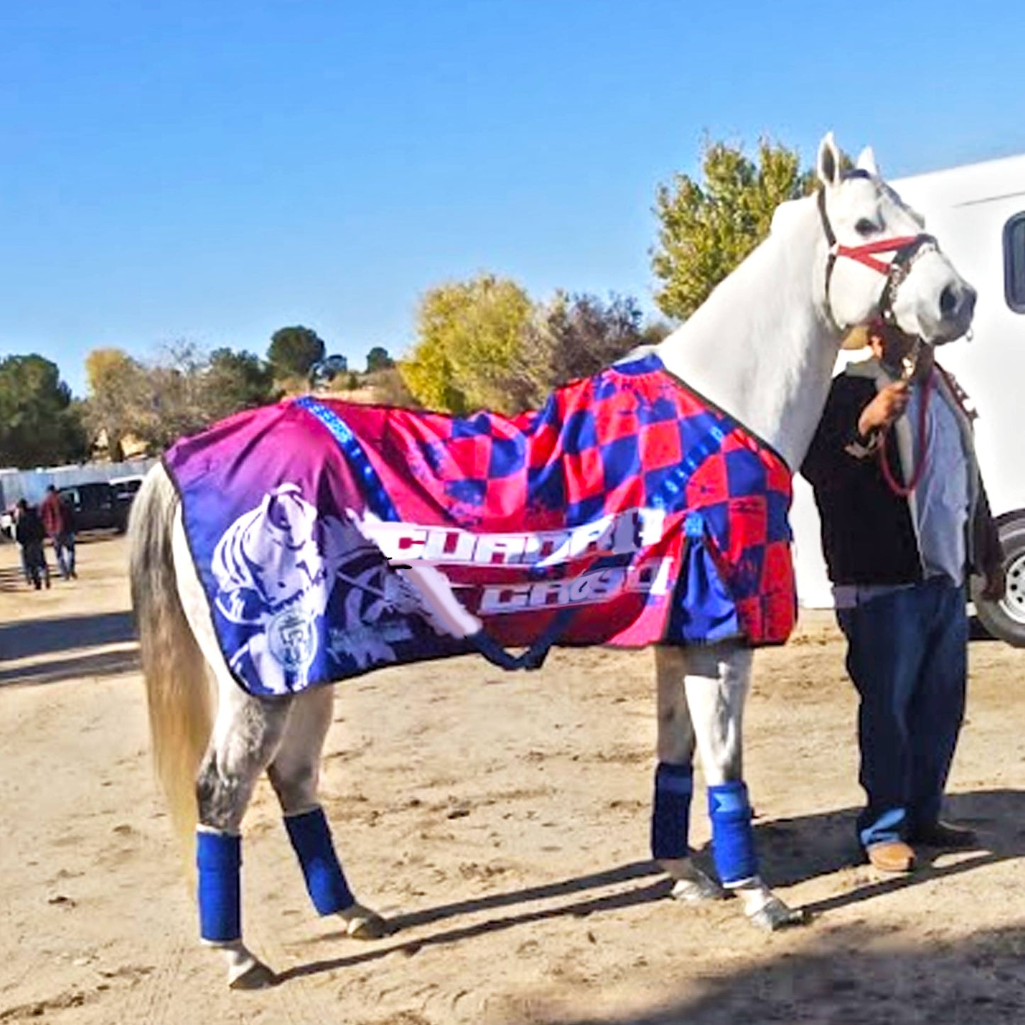 Custom Horse Blankets