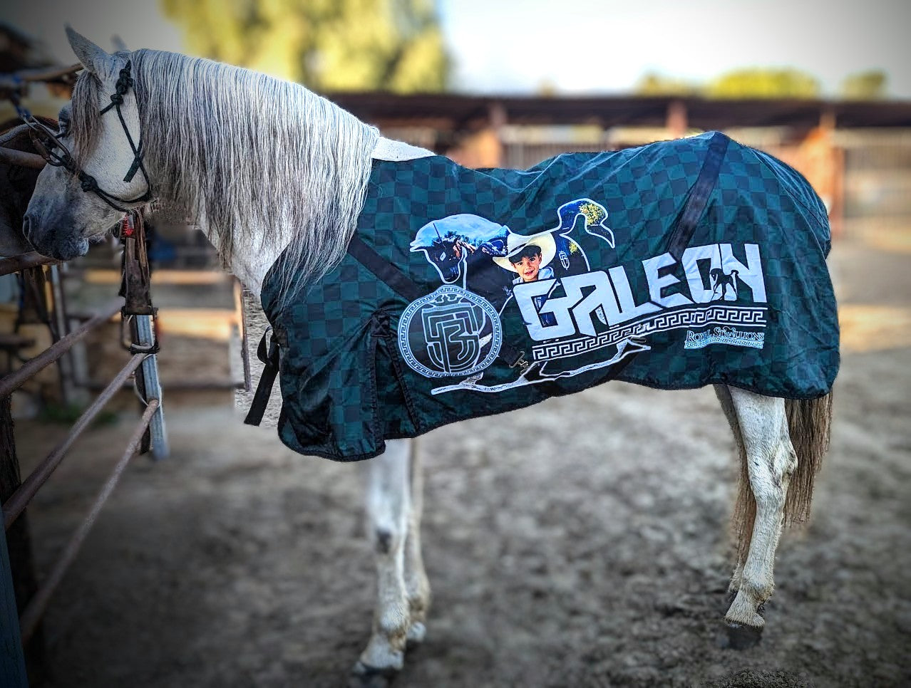 Custom Horse Blankets